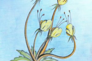 Fantastic Flowers - Imaginative floral forms in vibrant abstraction.