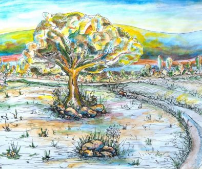 New Road - Exploring a new path through the hills, far from any people.