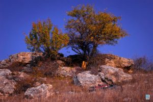 painting_outdoor_02 painting_outdoor_02