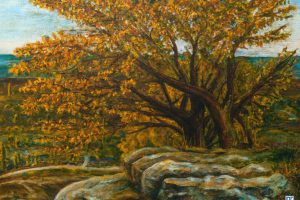 Northern Tree - For a long time, I painted a place like this from memory and imagination. Now I know where it truly is :) Northern Tree - For a long time, I painted a place like this from memory and imagination. Now I know where it truly is :)