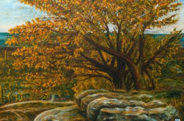 Northern Tree - For a long time, I painted a place like this from memory and imagination. Now I know where it truly is :)